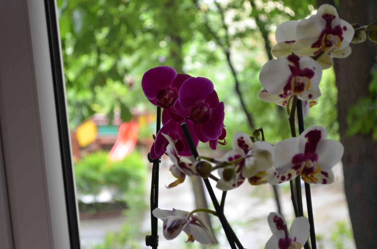 Apartament Orchidea Centrum Warsaw Exterior photo